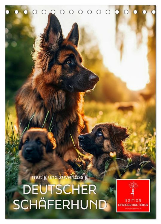Produktbild: Deutscher Sch&auml;ferhund - mutig und zuverl&auml;ssig (Tischkalender 2026 DIN A5 hoch), CALVENDO Monatskalender