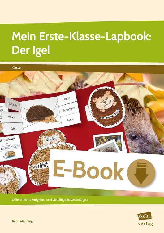 Produktbild: Mein Erste-Klasse-Lapbook: Der Igel