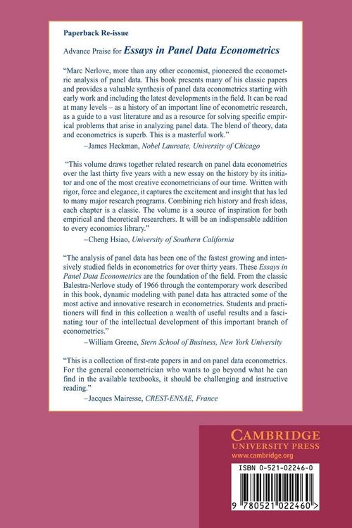 Produktbild: Essays in Panel Data Econometrics