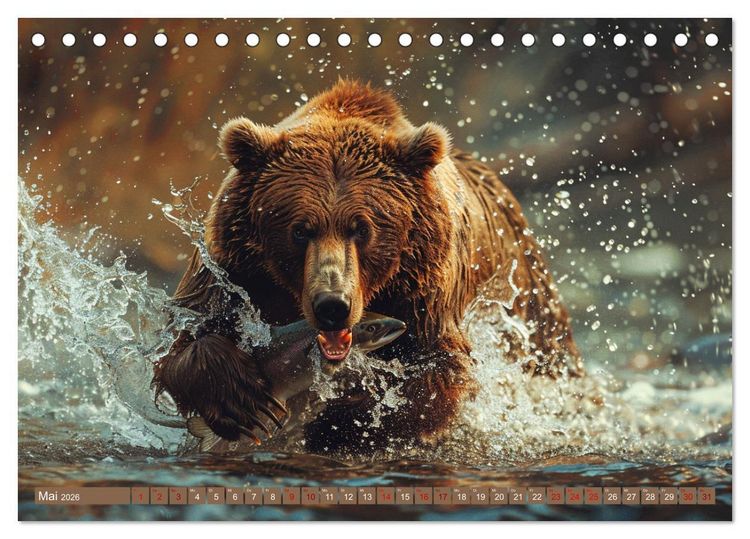 Produktbild: Wildes B&auml;renland (Tischkalender 2026 DIN A5 quer), CALVENDO Monatskalender