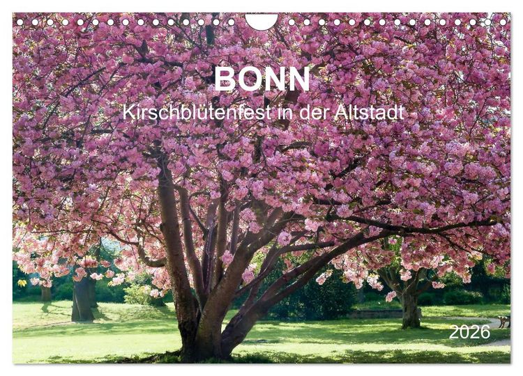 Produktbild: Bonn - Kirschbl&uuml;tenfest in der Altstadt (Wandkalender 2026 DIN A4 quer), CALVENDO Monatskalender