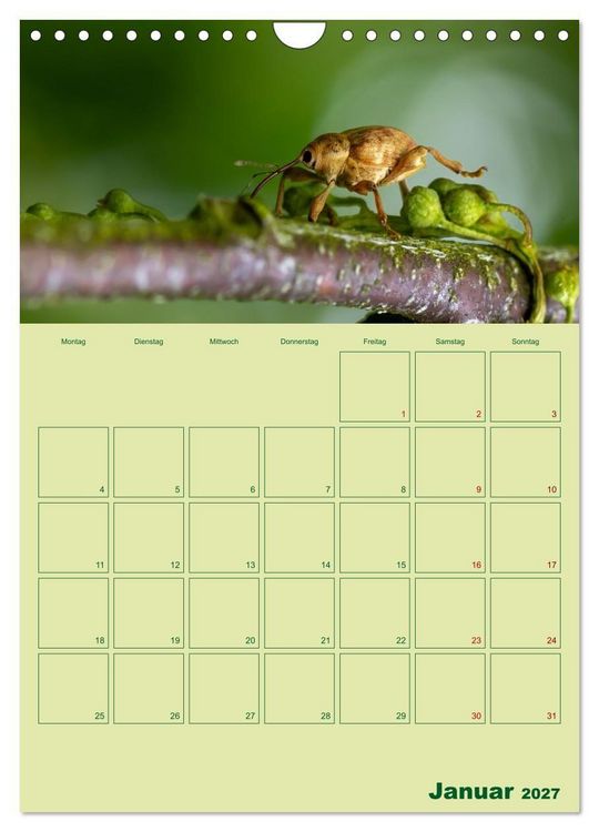 Produktbild: Die Welt der Insekten (Wandkalender 2027 DIN A4 hoch), CALVENDO Monatskalender