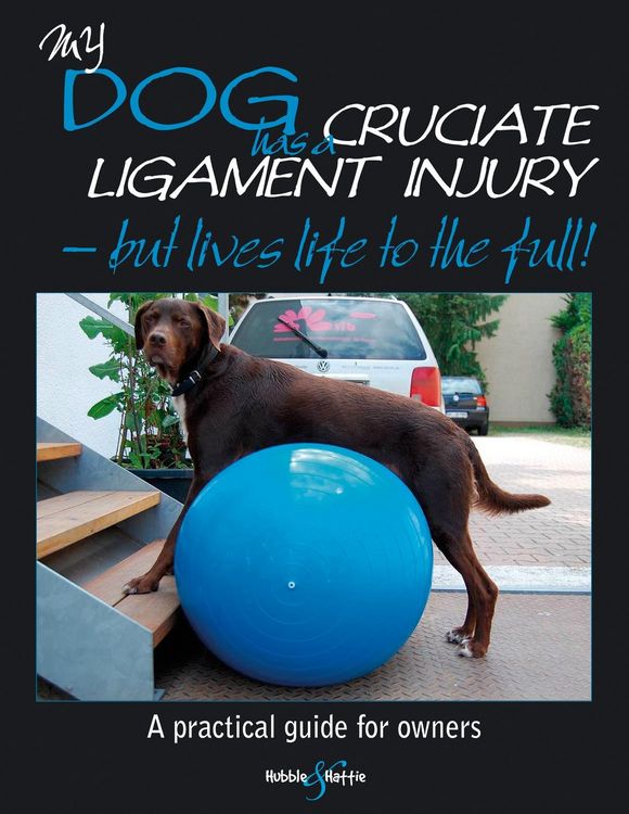 Produktbild: My dog has cruciate ligament injury - but lives life to the full!