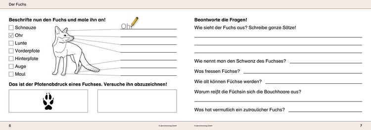 Produktbild: Ich kenne Waldtiere / Haus- und Hoftiere / Insekten und Spinnen - 3 Arbeitshefte im Set f&uuml;r die 2. bis 4. Klasse