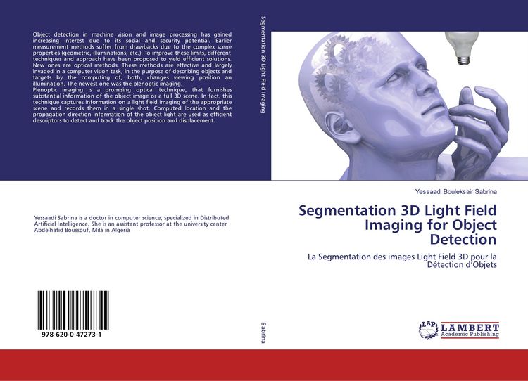 Produktbild: Segmentation 3D Light Field Imaging for Object Detection