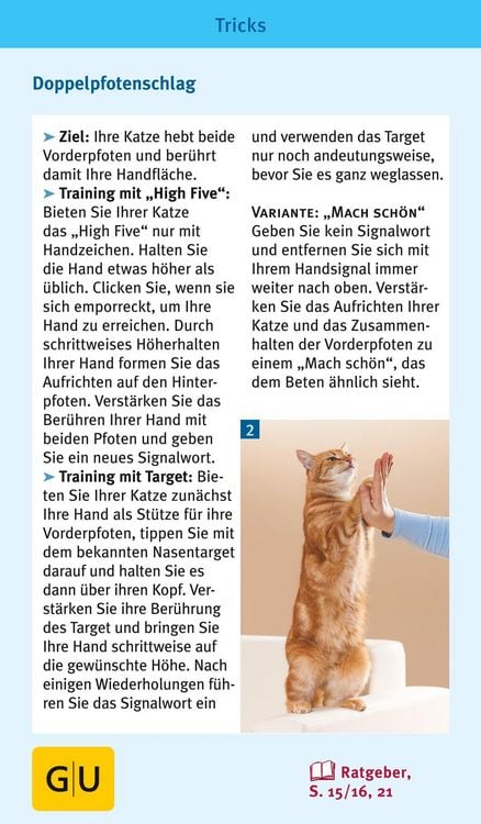 Produktbild: Katzen-Clicker-Box