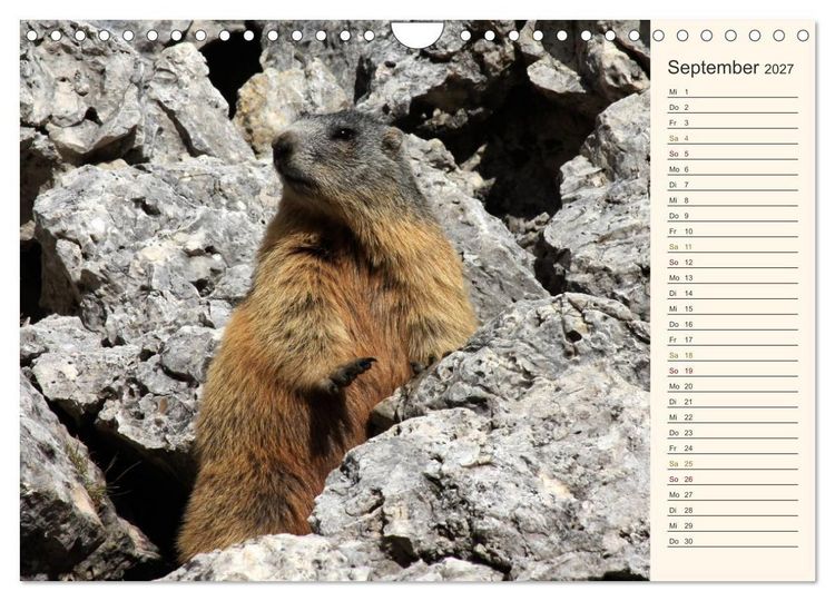 Produktbild: Weltnaturerbe DOLOMITEN (Wandkalender 2027 DIN A4 quer), CALVENDO Monatskalender