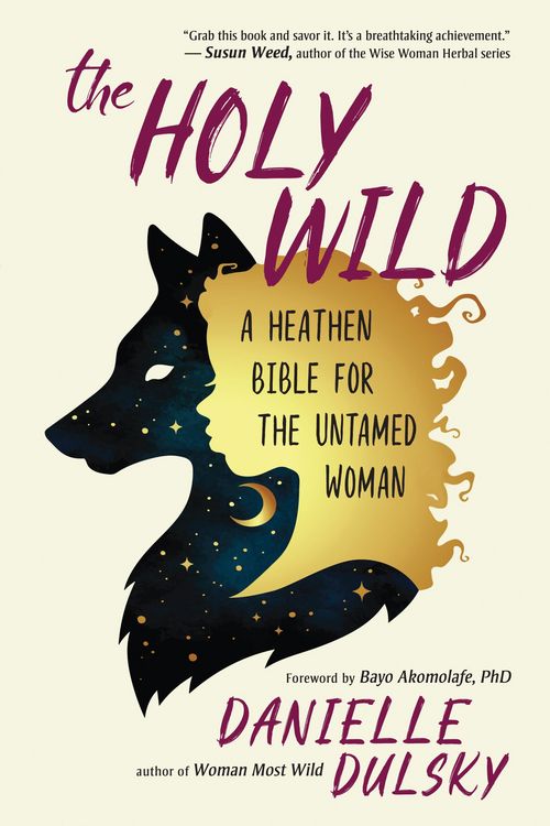 Produktbild: The Holy Wild