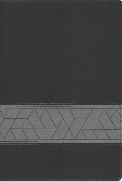 Produktbild: Niv Storyline Bible Leathersof