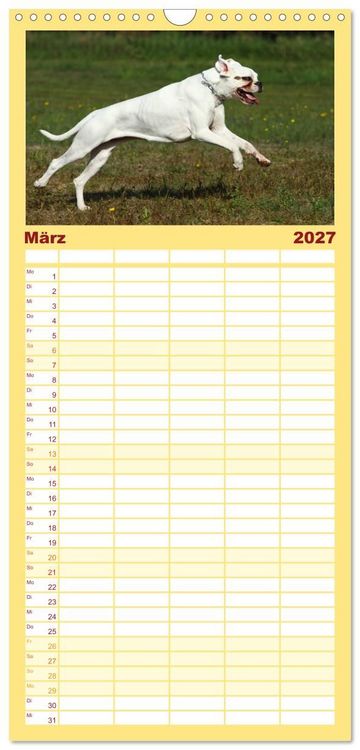 Produktbild: Familienplaner 2027 - Deutscher Boxer 2027 mit 5 Spalten (Wandkalender, 21 x 45 cm) CALVENDO