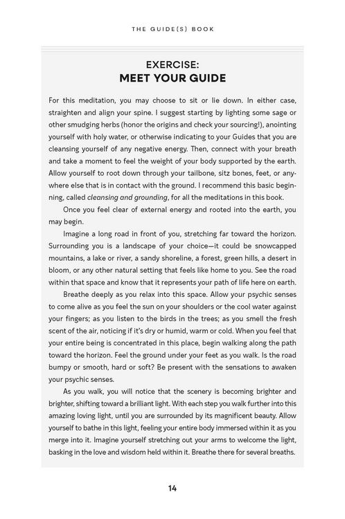 Produktbild: The Guide(s) Book