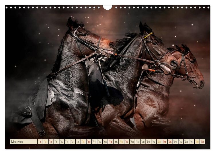 Produktbild: Eleganz und Sch&ouml;nheit - Pferde (Wandkalender 2026 DIN A3 quer), CALVENDO Monatskalender