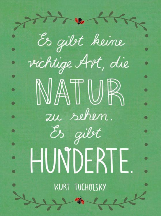 Produktbild: Lebe wild und voller Wunder