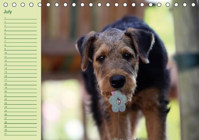 Produktbild: Puppies Birthday Calendar / UK-Version (Table Calendar perpetual DIN A5 Landscape)