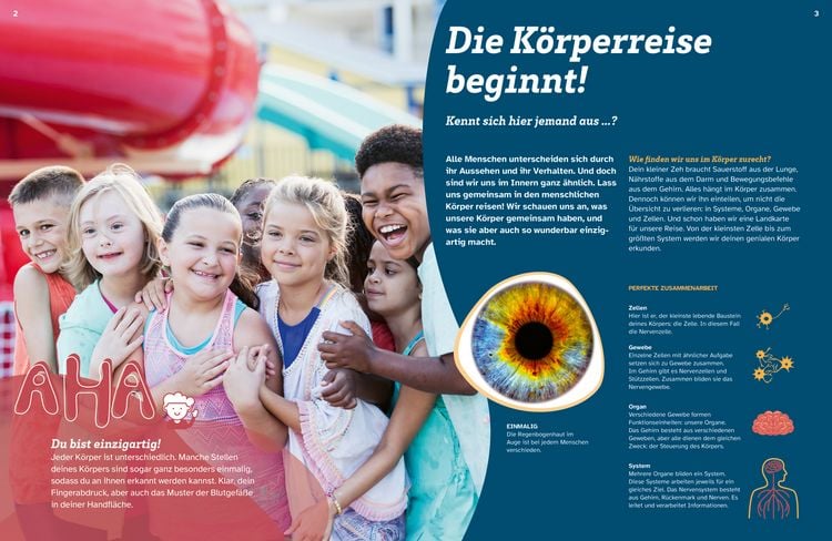 Produktbild: WAS IST WAS Dein K&ouml;rper. Was alles in dir steckt