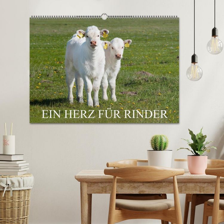 Produktbild: Ein Herz f&uuml;r Rinder (Wandkalender 2026 DIN A2 quer), CALVENDO Monatskalender