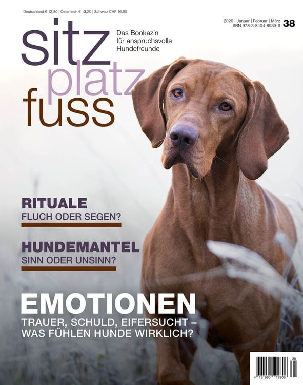 Produktbild: SitzPlatzFuss, Ausgabe 38