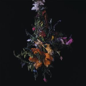 Produktbild: Nature Morte
