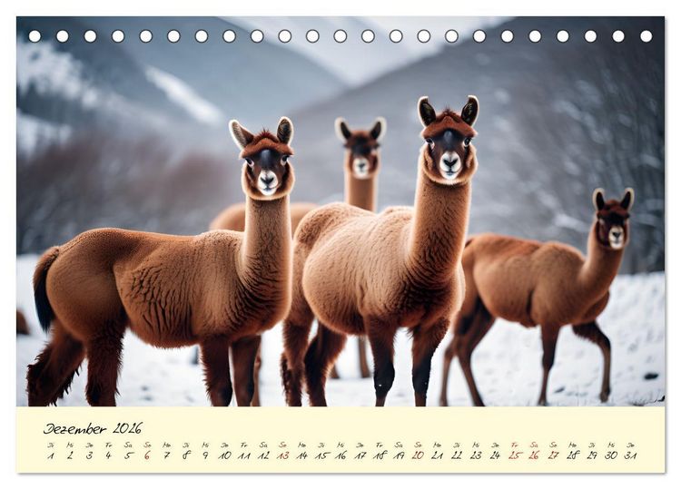 Produktbild: Alpakas, die sanften Andenbewohner (Tischkalender 2026 DIN A5 quer), CALVENDO Monatskalender