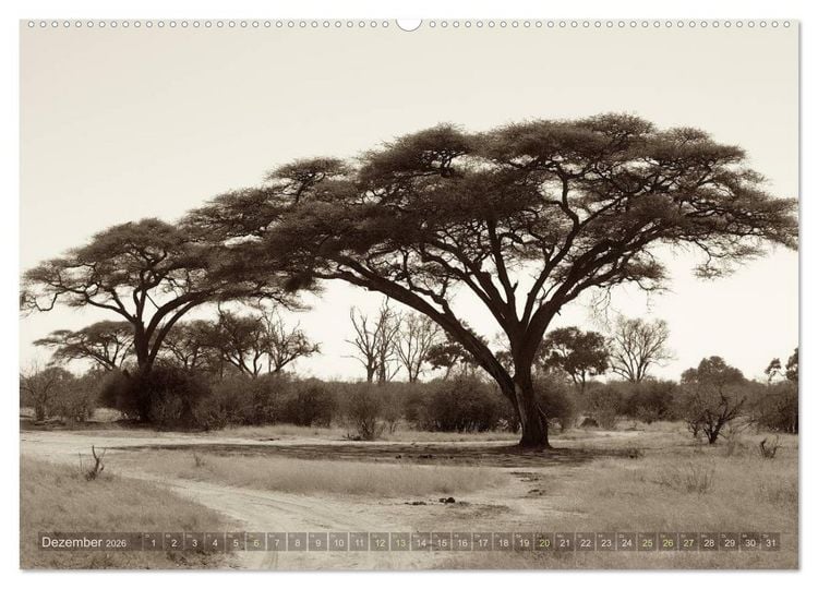 Produktbild: Botswana &ndash; Impressionen aus Afrika (hochwertiger Premium Wandkalender 2026 DIN A2 quer), Kunstdruck in Hochglanz