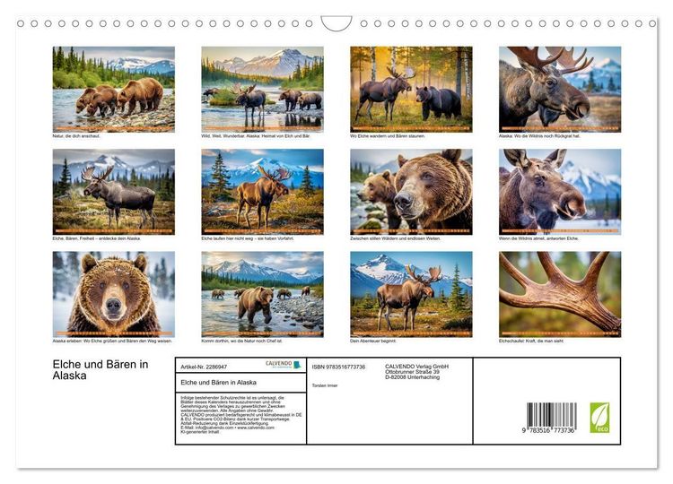 Produktbild: Elche und B&auml;ren in Alaska (Wandkalender 2027 DIN A3 quer), CALVENDO Monatskalender