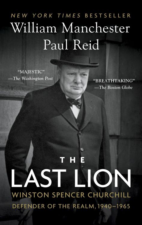 Produktbild: The Last Lion