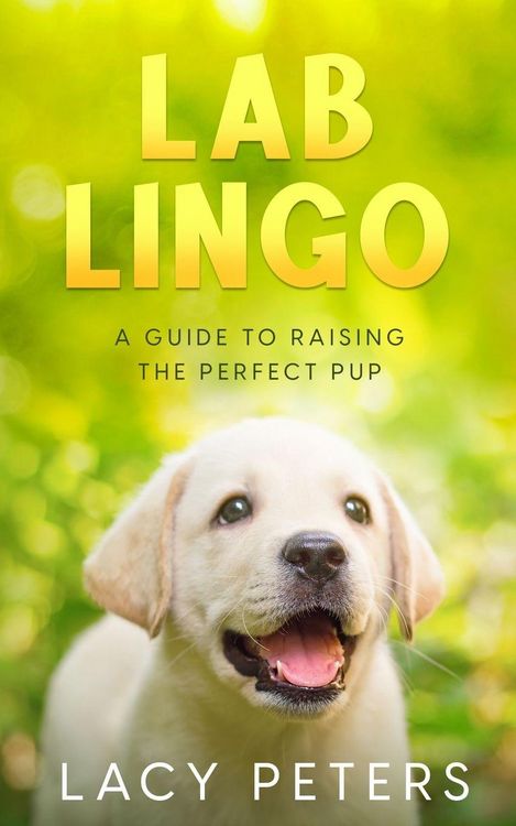 Produktbild: Lab Lingo