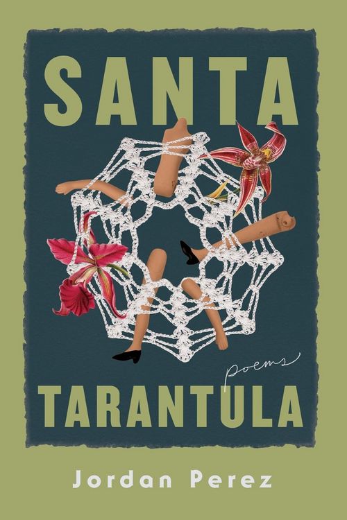 Produktbild: Santa Tarantula