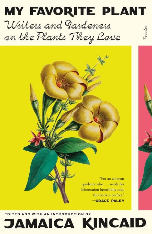 Produktbild: My Favorite Plant