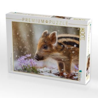 Produktbild: CALVENDO Puzzle Zwischen Tau und Bl&uuml;te erwacht das Leben | 1000 Teile Lege-Gr&ouml;&szlig;e 64x48cm Foto-Puzzle f&uuml;r gl&uuml;ckliche Stunden