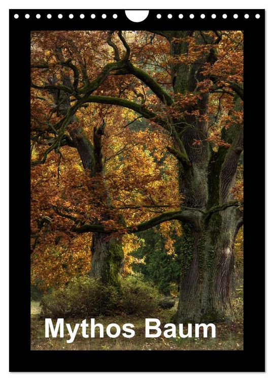 Produktbild: Mythos Baum / 2026 (Wandkalender 2026 DIN A4 hoch), CALVENDO Monatskalender