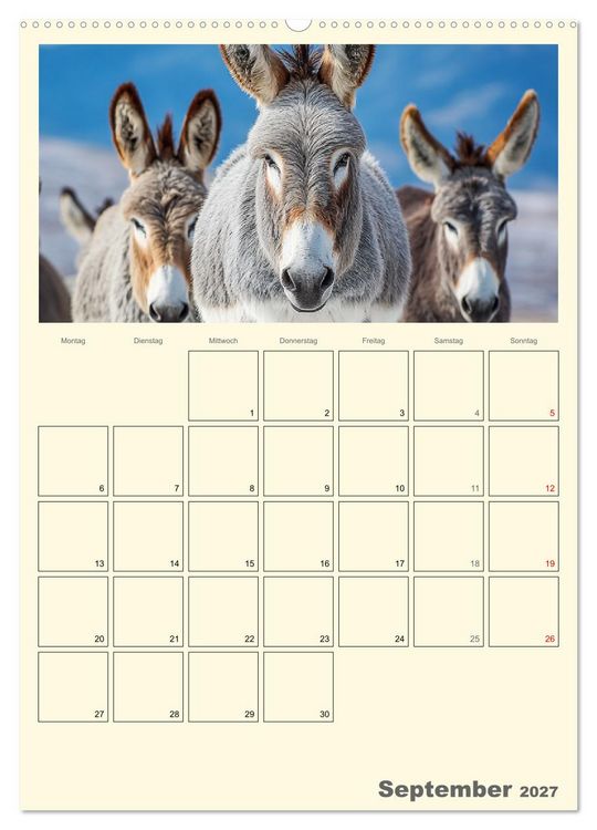 Produktbild: Eselmomente. Natur, Freiheit und Charakter (hochwertiger Premium Wandkalender 2027 DIN A2 hoch), Kunstdruck in Hochglanz