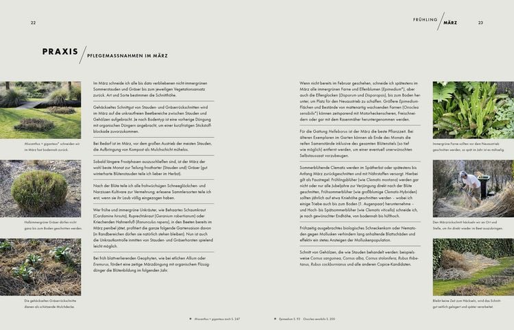 Produktbild: Peter Janke: Mein Garten im Wandel des Zeitgeistes und des Klimas
