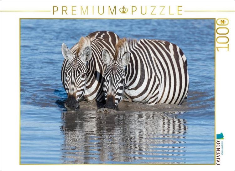 Produktbild: CALVENDO Puzzle Trinkende Zebras | 1000 Teile Lege-Gr&ouml;&szlig;e 64x48cm Foto-Puzzle f&uuml;r gl&uuml;ckliche Stunden