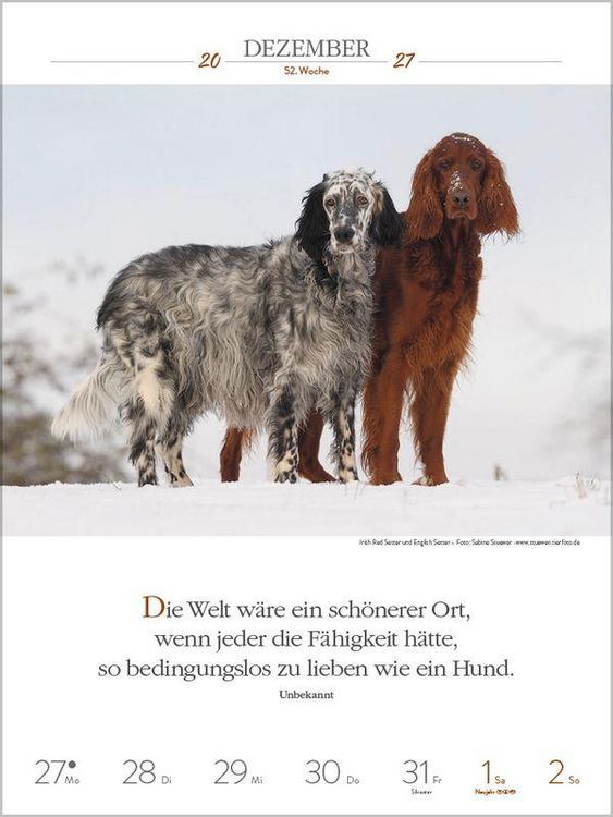 Produktbild: Literaturkalender Hunde 2027