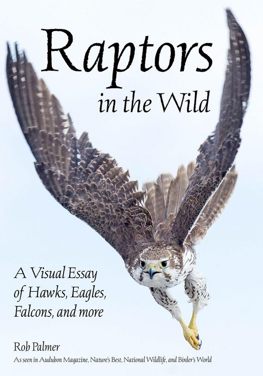 Produktbild: Raptors in the Wild