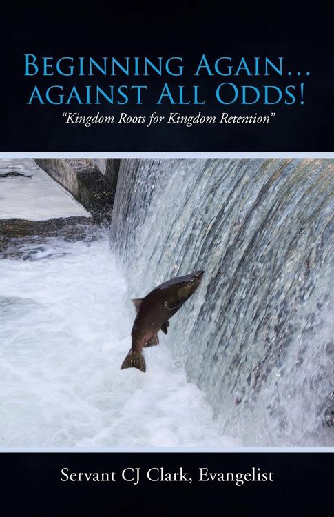Produktbild: Beginning Again...Against All Odds!