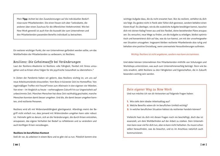 Produktbild: Eingetaucht: New Work
