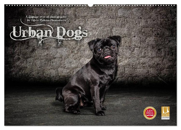 Produktbild: Urban Dogs - Hundekalender der anderen Art (Wandkalender 2026 DIN A2 quer), CALVENDO Monatskalender