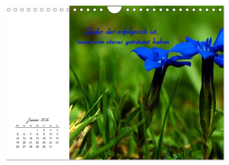 Produktbild: Innehalten in der Natur ... mit Weisheiten und Sprichworten der Indianer (Wandkalender 2026 DIN A4 quer), CALVENDO Monatskalender