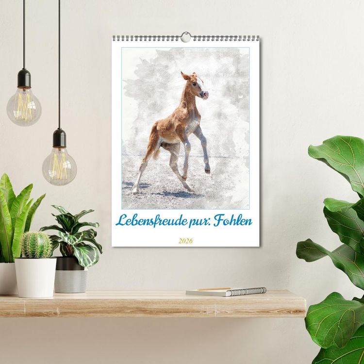 Produktbild: Lebensfreude pur: Fohlen (Wandkalender 2026 DIN A3 hoch), CALVENDO Monatskalender