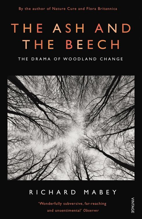 Produktbild: The Ash and The Beech