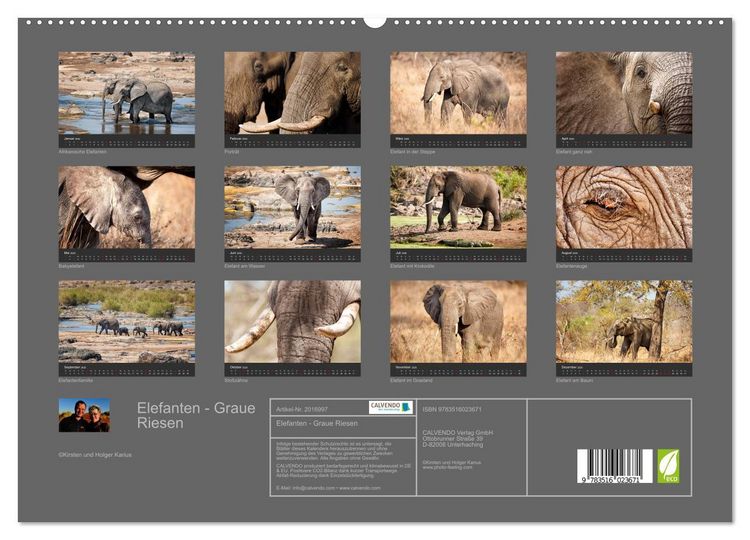 Produktbild: Elefanten - Graue Riesen (hochwertiger Premium Wandkalender 2026 DIN A2 quer), Kunstdruck in Hochglanz