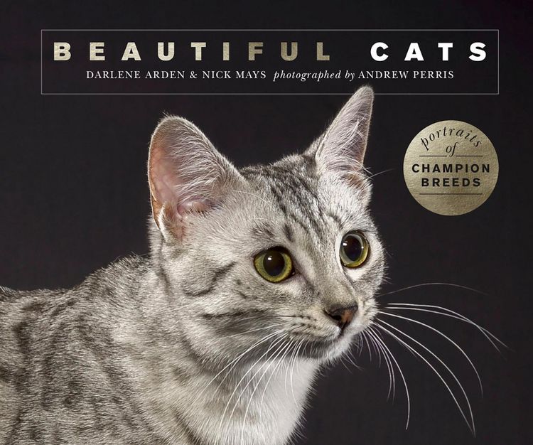 Produktbild: Beautiful Cats