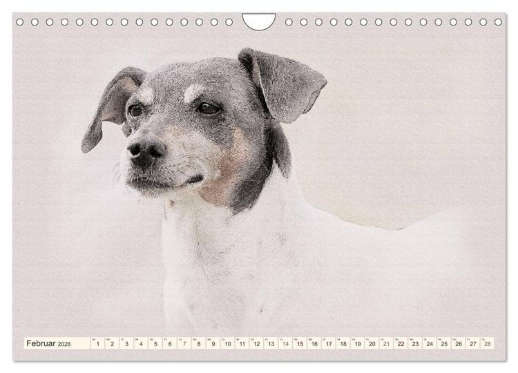 Produktbild: Bodeguero Andaluz 2026 (Wandkalender 2026 DIN A4 quer), CALVENDO Monatskalender