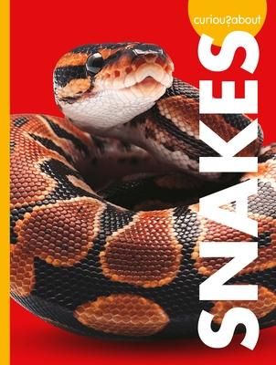 Produktbild: Curious about Snakes