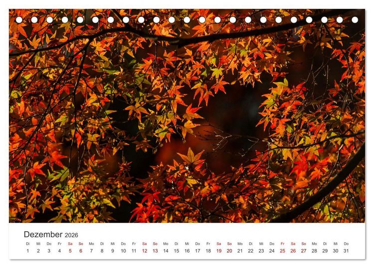 Produktbild: Japanischer Herbst und Laub (Tischkalender 2026 DIN A5 quer), CALVENDO Monatskalender