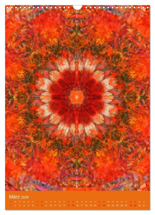 Produktbild: Meditative Pflanzenmandalas (Wandkalender 2026 DIN A3 hoch), CALVENDO Monatskalender