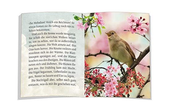 Produktbild: Das M&auml;rchen von der Nachtigall