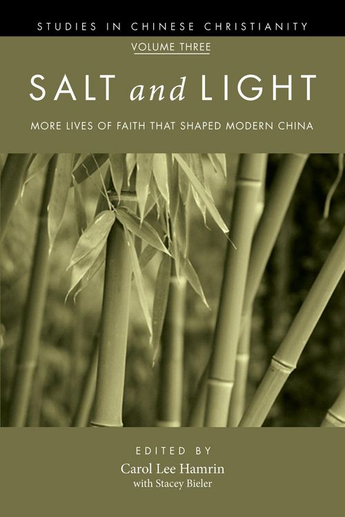 Produktbild: Salt and Light, Volume 3